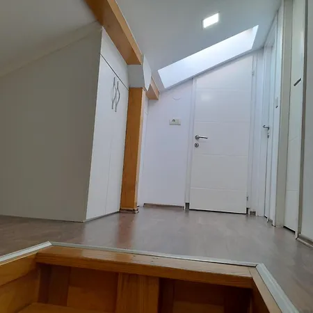 Gold&black * 巴尼西卢卡